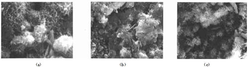 3̖��Ʒ��525#�չ�ˮ��+ĥ��(x��)�V��+ĥ��(x��)��ú�ң�SEM����