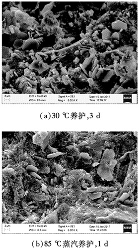 不同養(yǎng)護制度的混凝土內(nèi)部微觀結(jié)構(gòu)掃描電子顯微鏡圖像